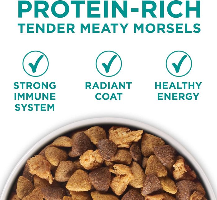 Sensitive Stomach Adult Dry Dog Food
