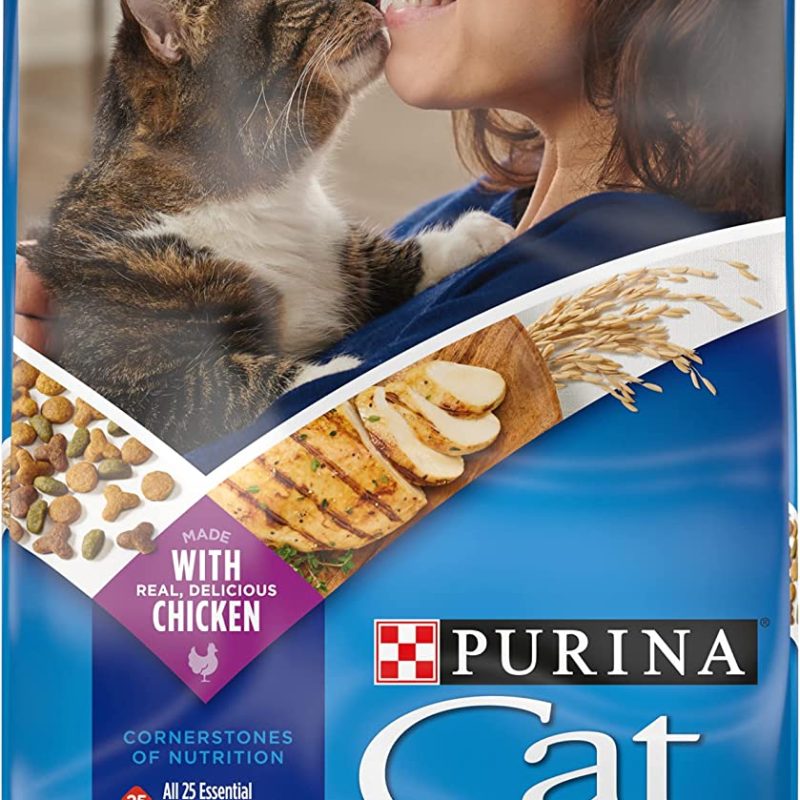 Purina Cat Chow High Protein Dry Cat Food