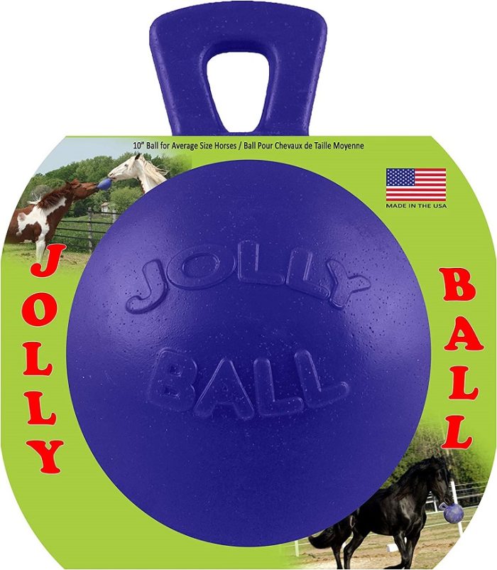 Jolly Ball Horse Toy
